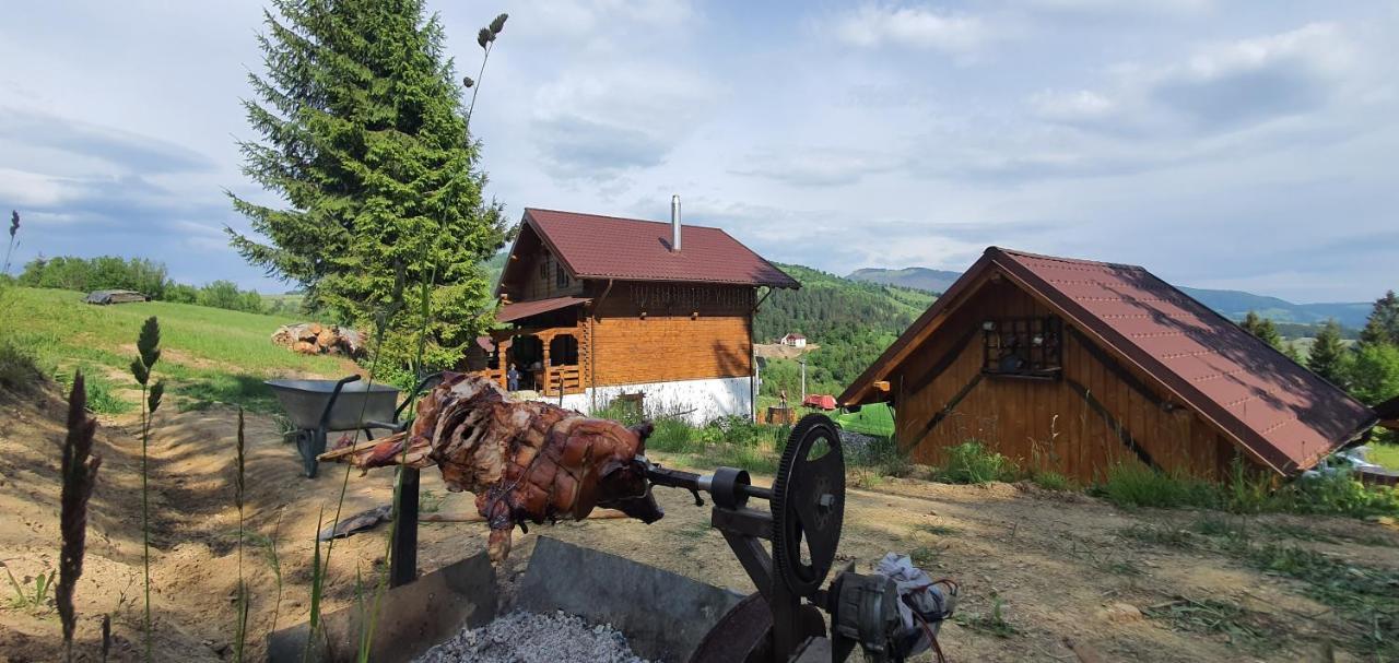 Tulean Cabin Săcel Exterior foto